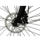 MAXTRON E-Bike »MT-11«, E-Trekkingbike, 8-Gang, 28″, RH: 50 cm, 360 W, 36 V, max. Reichweite: 100 km-Thumbnail