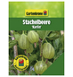 Gartenkrone Stachelbeere, Ribes uva-crispa »Karlin«, Frucht: grün, zum Verzehr geeignet-Thumbnail