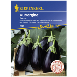 KIEPENKERL Aubergine melongena Solanum