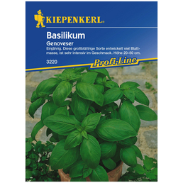 KIEPENKERL Basilikum Ocimum basilicum »Genoveser«