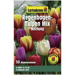 Gartenkrone Blumenzwiebeln Triumph-Tulpe, Tulipa X hybrida »Mischung«, Blütenfarbe: bunt
