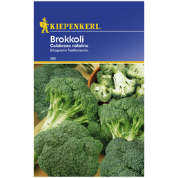 KIEPENKERL Brokkoli Brassica oleracea var. italica »Calabrese natalino«