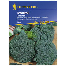 KIEPENKERL Brokkoli oleracea var. Italica Brassica