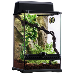 exo terra habitat kit rainforest