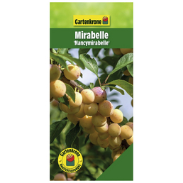 Gartenkrone Mirabelle, Prunus domestica »Nancymirabelle CAC«, Früchte: süß